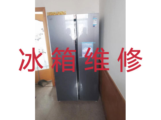 三明专业冰箱安装